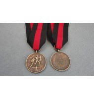 WW2 German Sudetenland Medal With Prague Ribbon - in Bronze